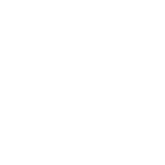 Kaida Care Logo